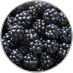 Brombeeren